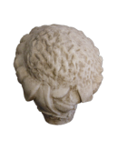 Gaius Aurelius Valerius Diocletianus Gaius Aurelius Valerius Diocletianus