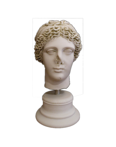 Head of Nemesis Head of Nemesis