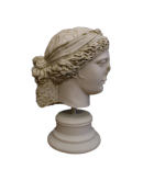 Head of Nemesis Head of Nemesis
